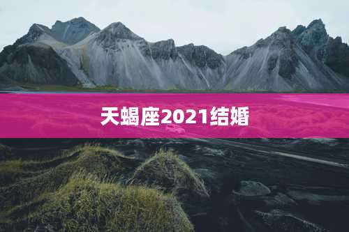 天蝎座2021结婚