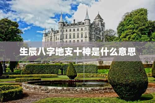 生辰八字地支十神是什么意思