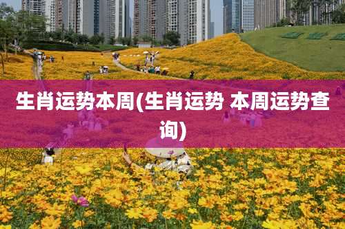 生肖运势本周(生肖运势 本周运势查询)