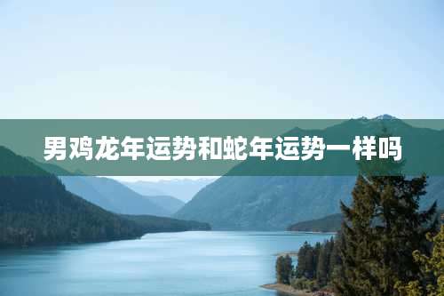 男鸡龙年运势和蛇年运势一样吗