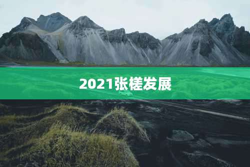 2021张槎发展