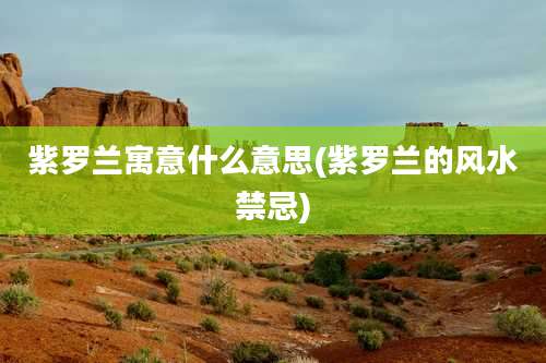 紫罗兰寓意什么意思(紫罗兰的风水禁忌)