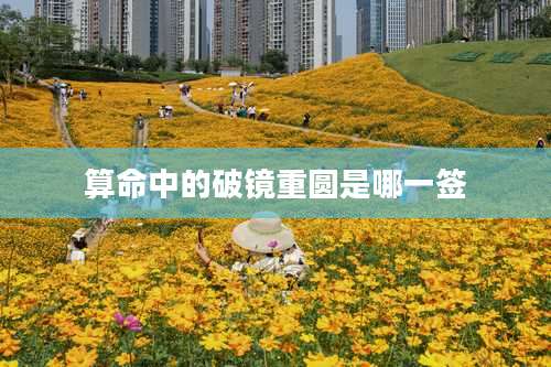 算命中的破镜重圆是哪一签