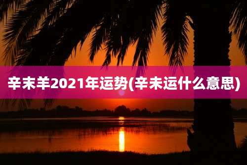 辛末羊2021年运势(辛未运什么意思)