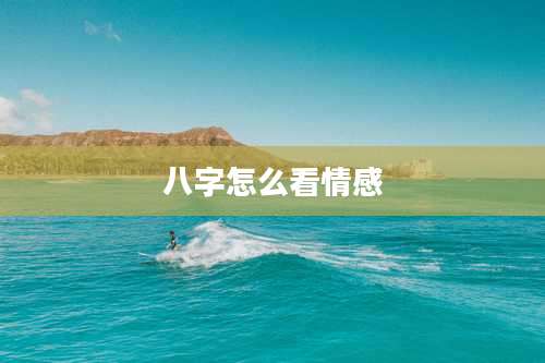 八字怎么看情感