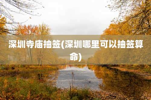 深圳寺庙抽签(深圳哪里可以抽签算命)