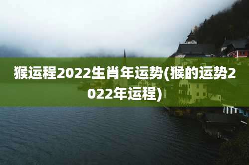 猴运程2022生肖年运势(猴的运势2022年运程)