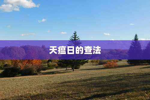 天瘟日的查法