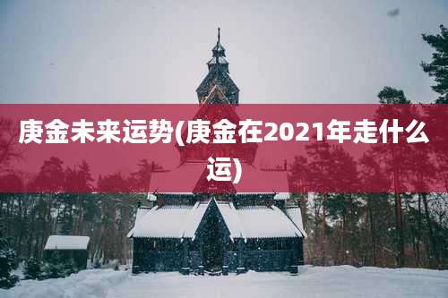 庚金未来运势(庚金在2021年走什么运)