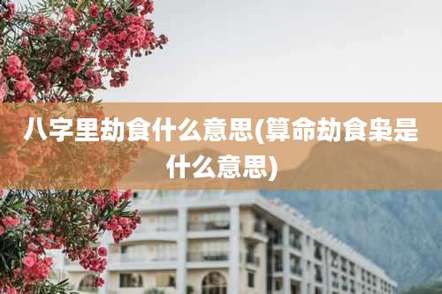 八字里劫食什么意思(算命劫食枭是什么意思)