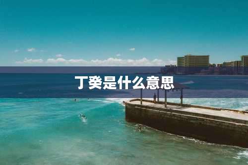 丁癸是什么意思