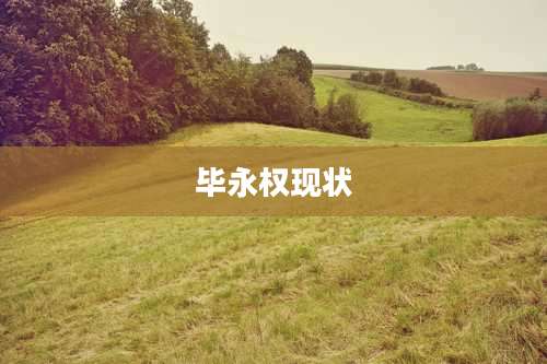 毕永权现状