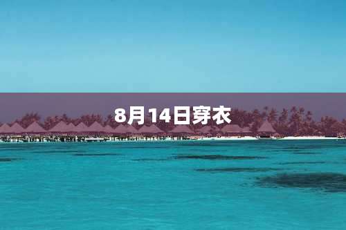 8月14日穿衣