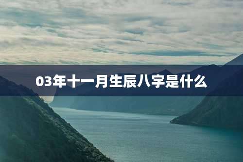 03年十一月生辰八字是什么