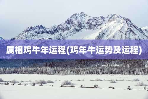 属相鸡牛年运程(鸡年牛运势及运程)
