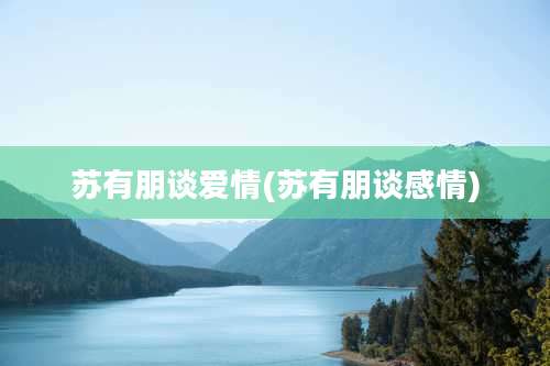 苏有朋谈爱情(苏有朋谈感情)