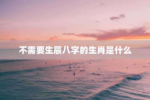 不需要生辰八字的生肖是什么