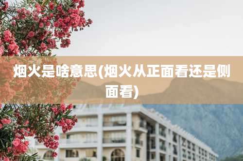 烟火是啥意思(烟火从正面看还是侧面看)