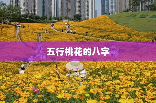 五行桃花的八字