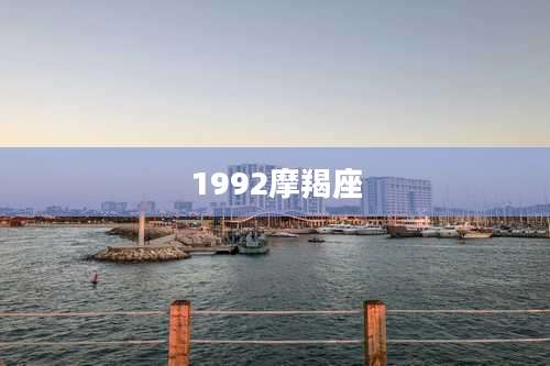1992摩羯座