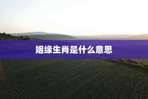 姻缘生肖是什么意思