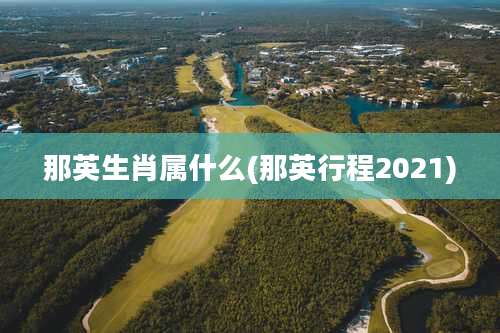 那英生肖属什么(那英行程2021)