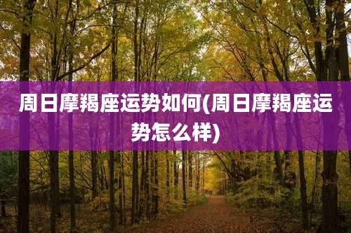 周日摩羯座运势如何(周日摩羯座运势怎么样)