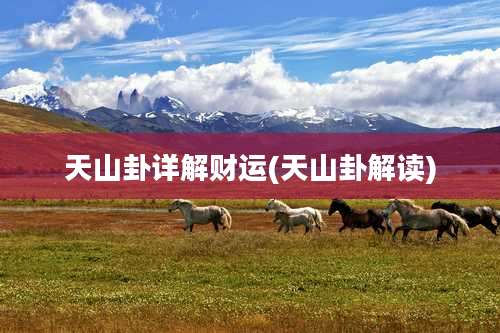 天山卦详解财运(天山卦解读)