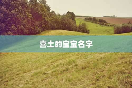 喜土的宝宝名字