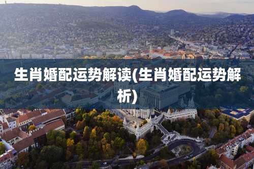 生肖婚配运势解读(生肖婚配运势解析)