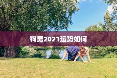 狗男2021运势如何