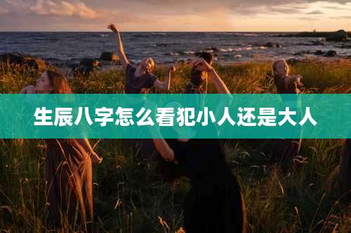 生辰八字怎么看犯小人还是大人