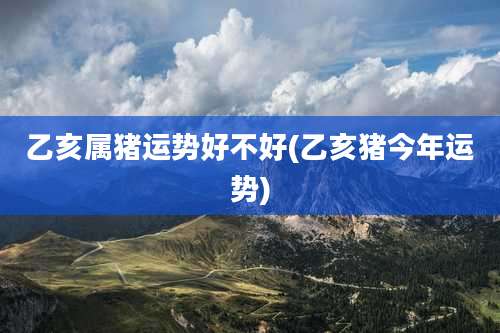 乙亥属猪运势好不好(乙亥猪今年运势)