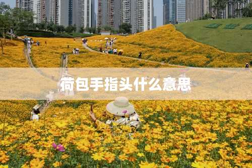 荷包手指头什么意思