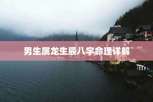男生属龙生辰八字命理详解