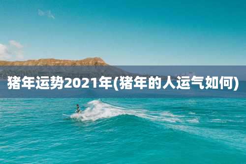 猪年运势2021年(猪年的人运气如何)