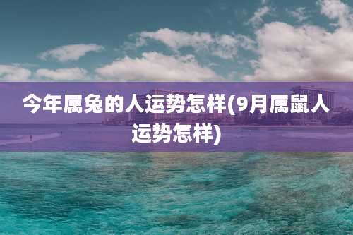 今年属兔的人运势怎样(9月属鼠人运势怎样)