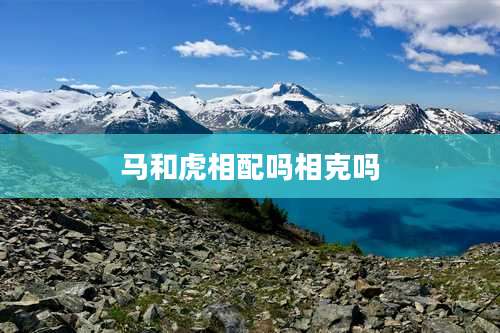 马和虎相配吗相克吗