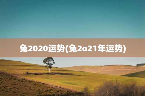 兔2020运势(兔2o21年运势)