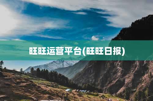 旺旺运营平台(旺旺日报)