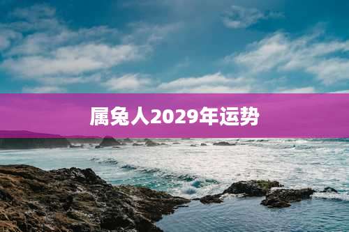 属兔人2029年运势