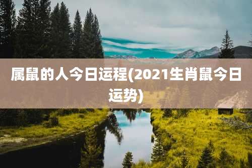 属鼠的人今日运程(2021生肖鼠今日运势)