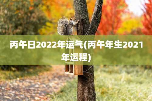丙午日2022年运气(丙午年生2021年运程)