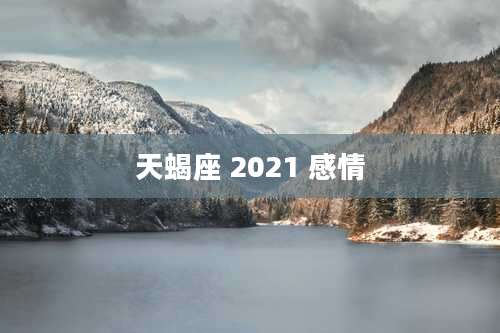 天蝎座 2021 感情