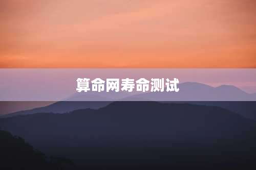 算命网寿命测试