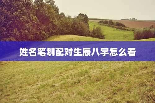 姓名笔划配对生辰八字怎么看