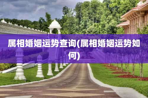 属相婚姻运势查询(属相婚姻运势如何)