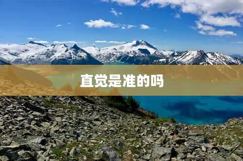 直觉是准的吗