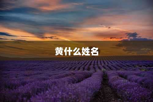 黄什么姓名