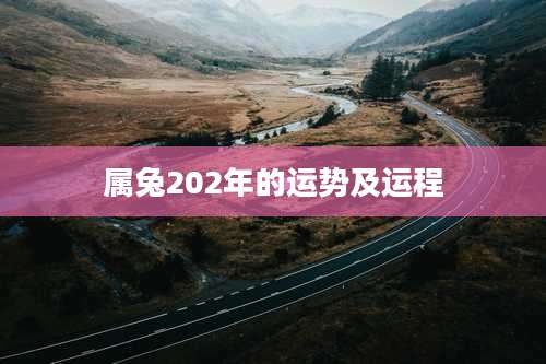 属兔202年的运势及运程